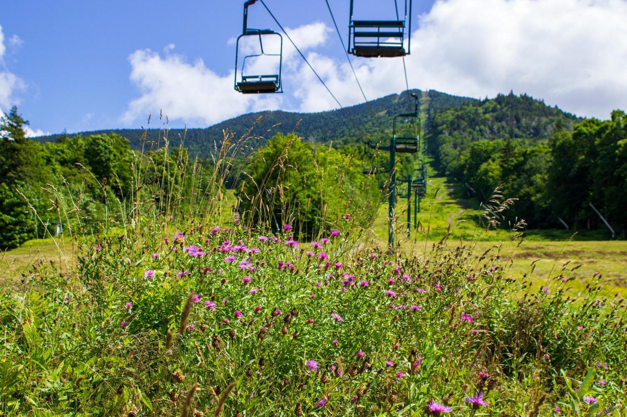 Smugglers' Notch Resort Private Suites Cambridge Exterior photo